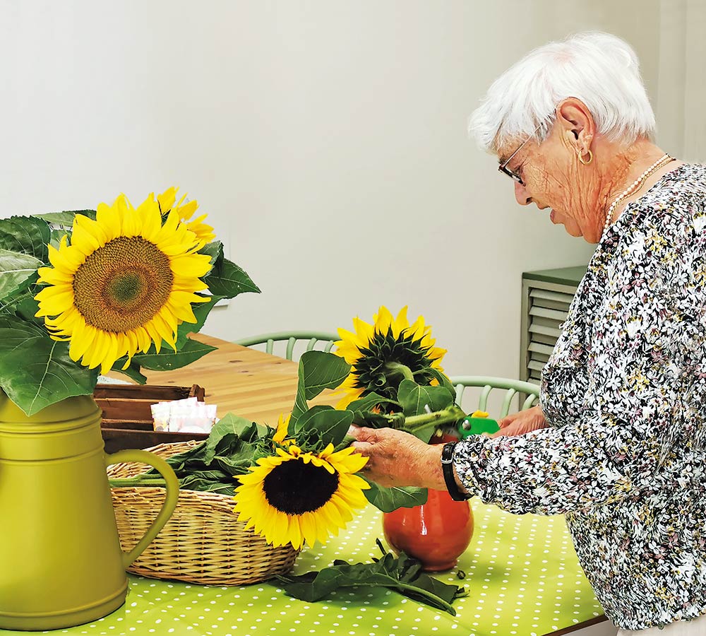 tagespflege-orangerie-sinnvoll